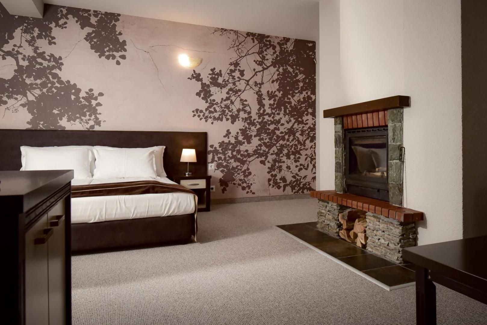 Hotel Rhodopi 4*